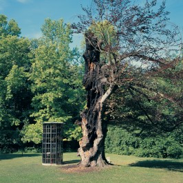 liste des artistes d'installation de la nature